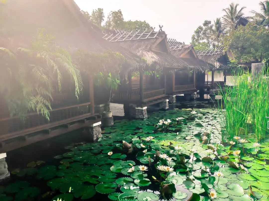 Kabut pagi di atas kolam teratai dan deretan bungalow beratap ijuk
