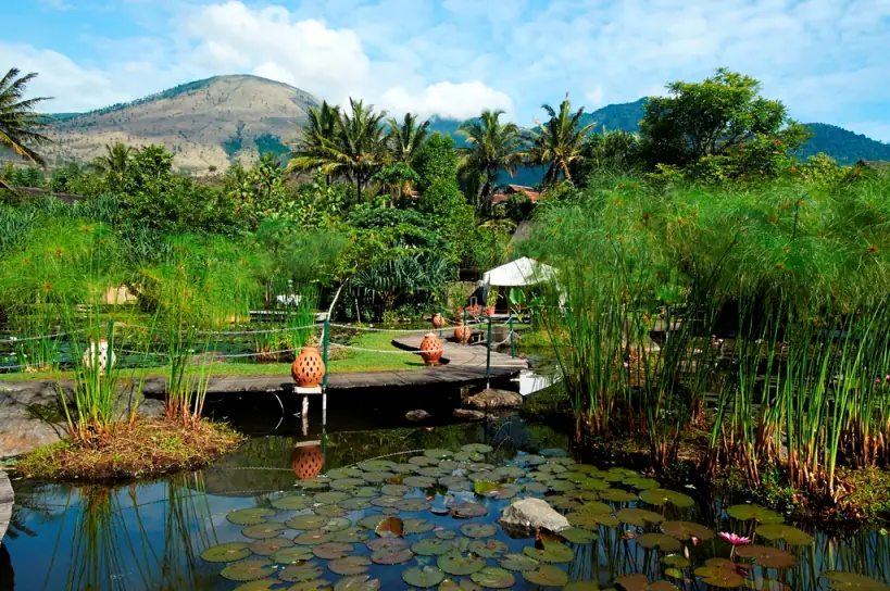 Taman dan kolam Kampung Sumber Alam dengan latar pegunungan